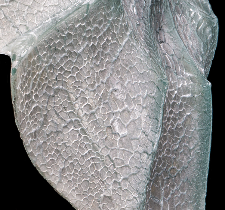 Umbrellas, detail