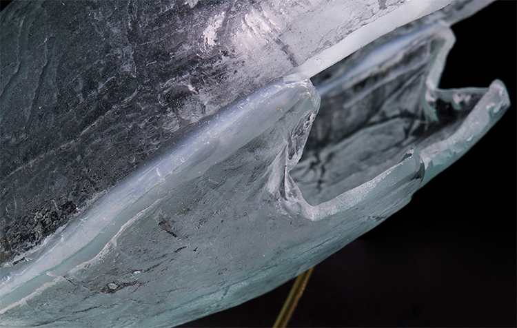 Protection, detail